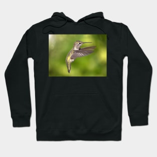 Anna's Hummingbird in Flight Hoodie